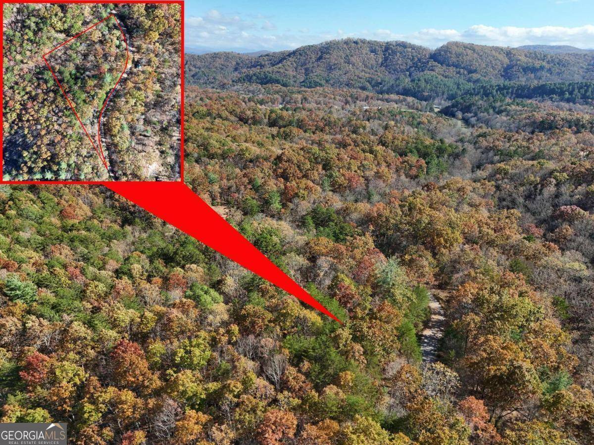 Mineral Bluff, GA 30559,LOT 10 Crabapple