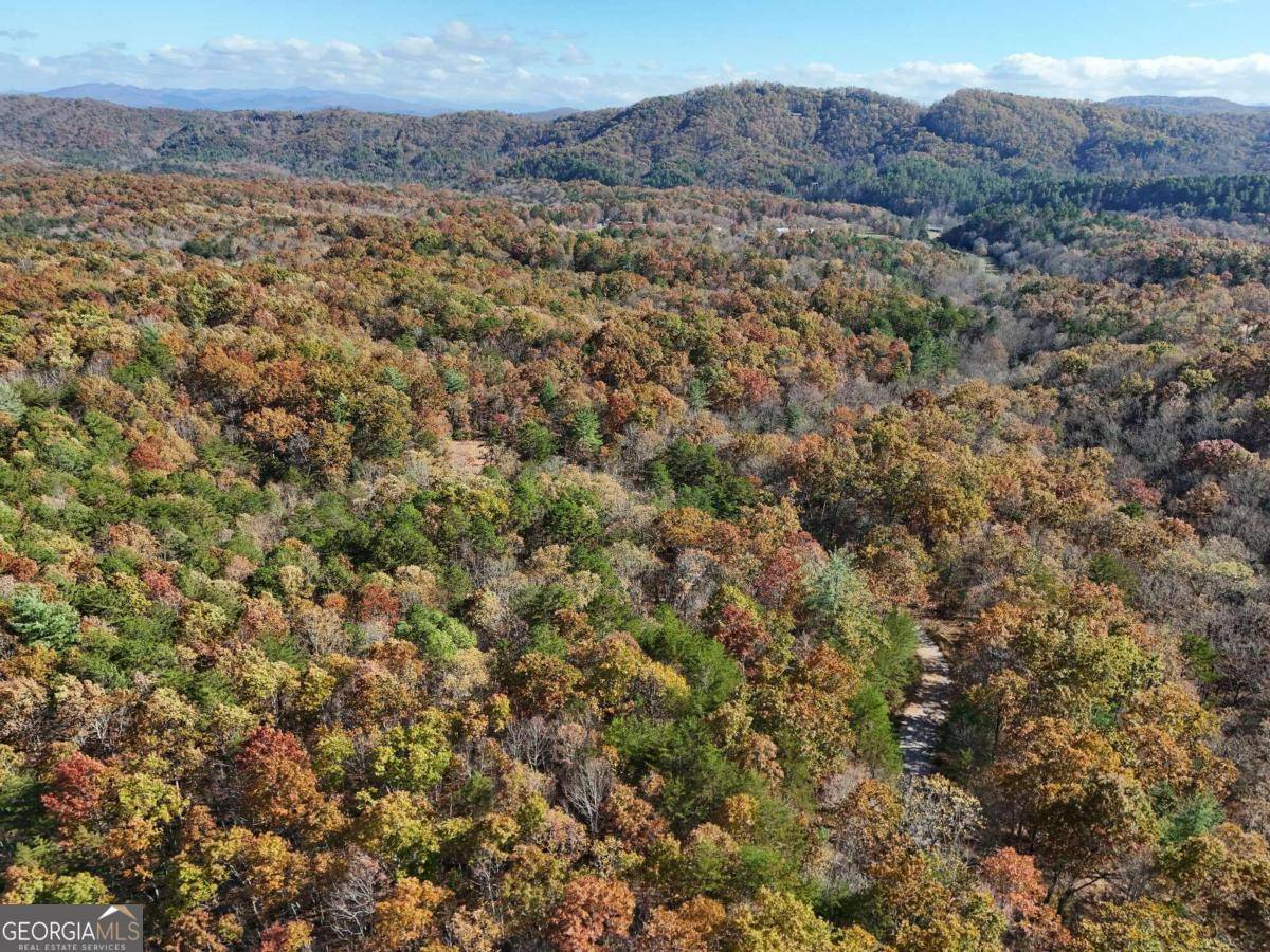 Mineral Bluff, GA 30559,LOT 10 Crabapple