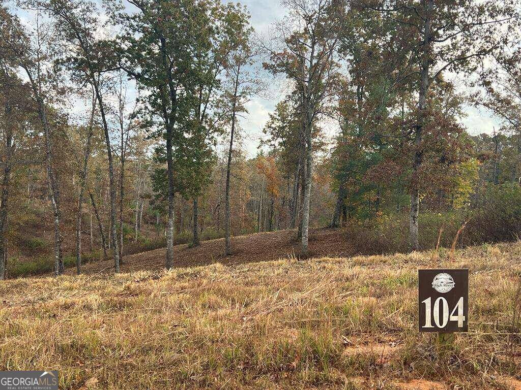 Ellijay, GA 30540,LOT 104 High River