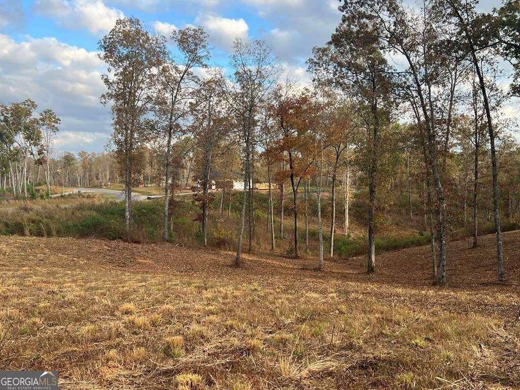 Ellijay, GA 30540,LOT 104 High River