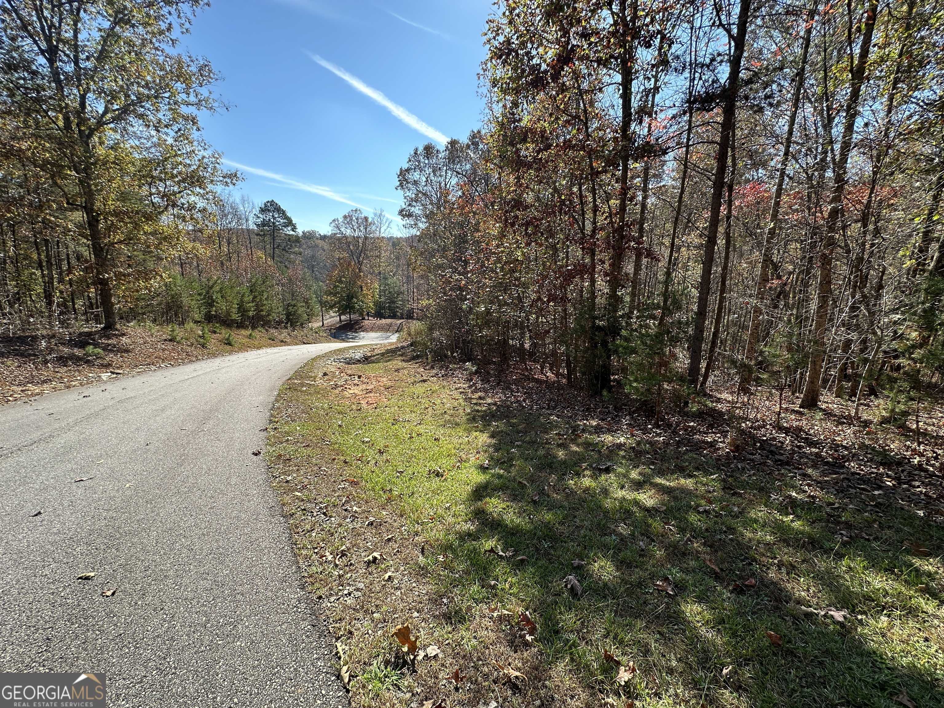 Cleveland, GA 30528,LOT 220 Lands End Trail