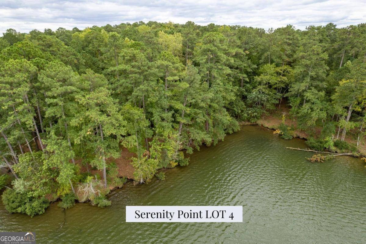 Milledgeville, GA 31061,LOT 4 Serenity PT