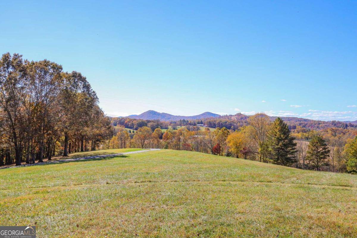 Hayesville, NC 28904,LOT 14 Hinton