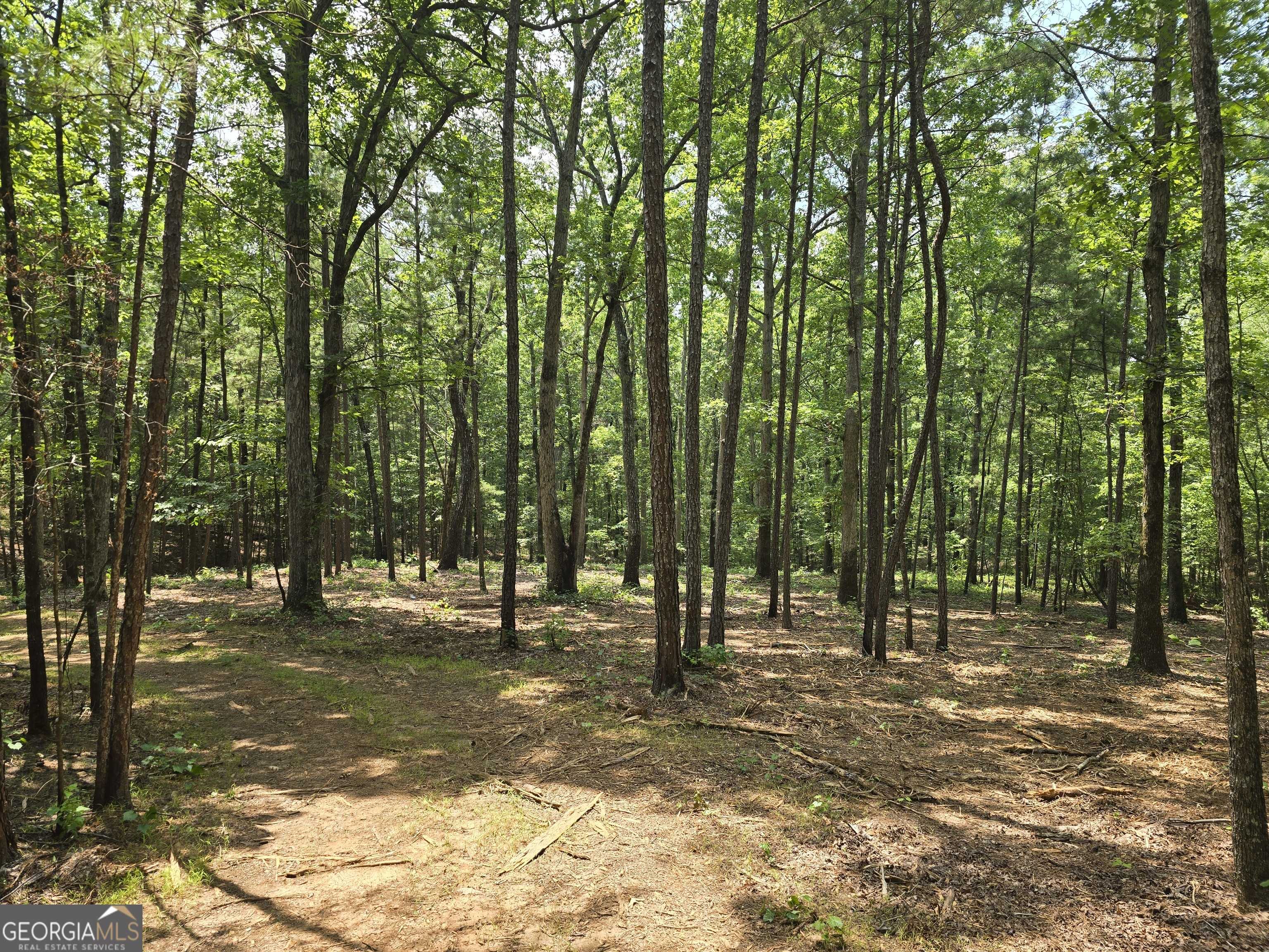 Monticello, GA 31064,0 Faulkner RD #LOT #2