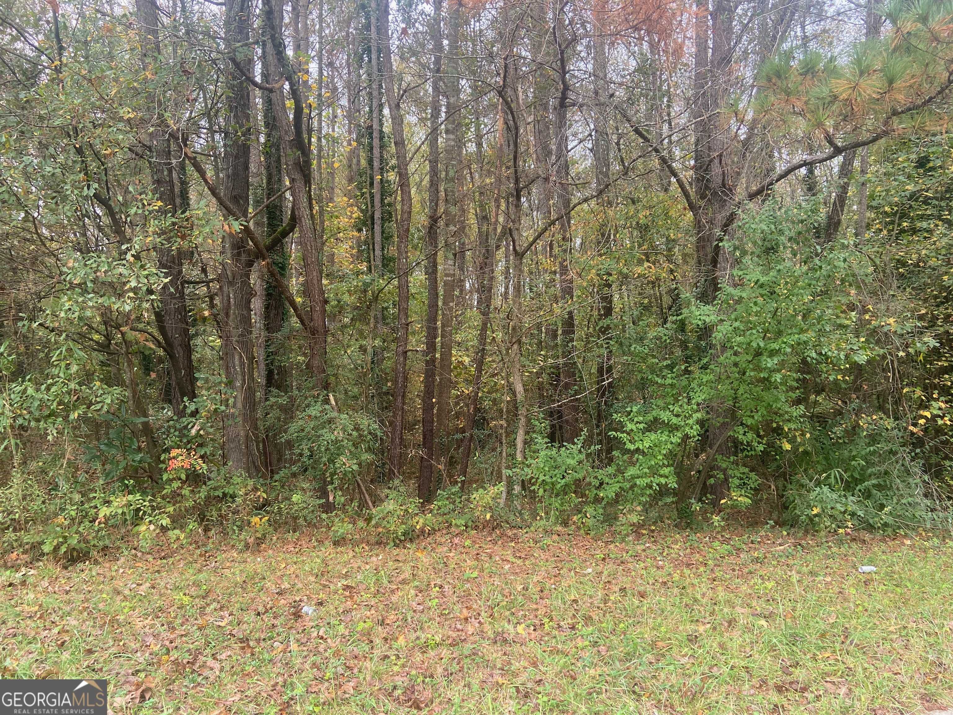 Stockbridge, GA 30281,0 Chimney Smoke