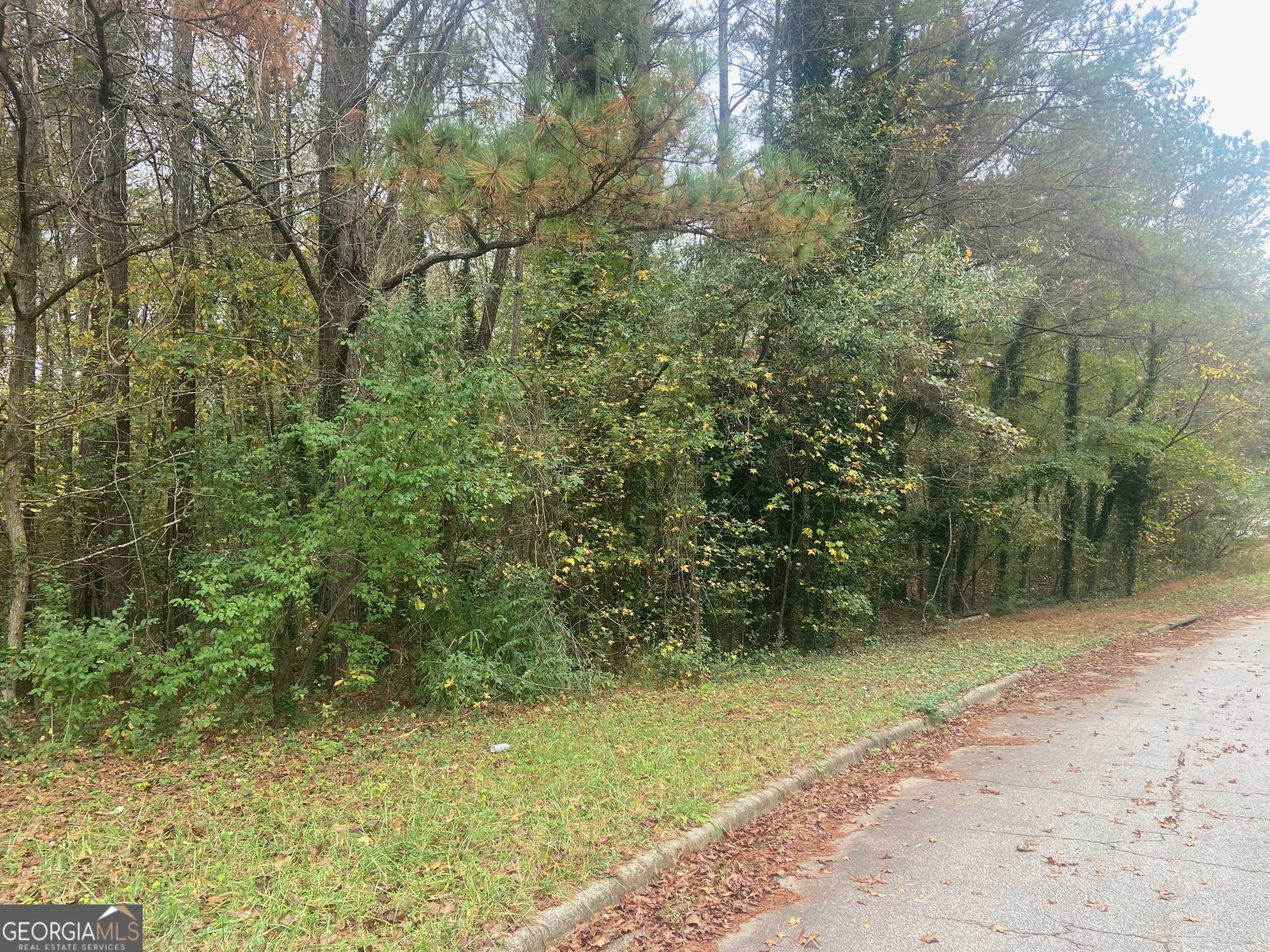 Stockbridge, GA 30281,0 Chimney Smoke DR