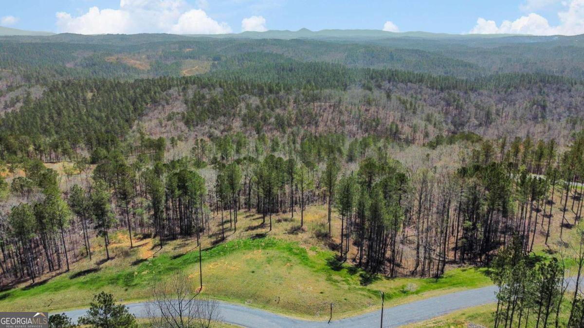 Talking Rock, GA 30175,LOT 195 Blalock Mountain Rd