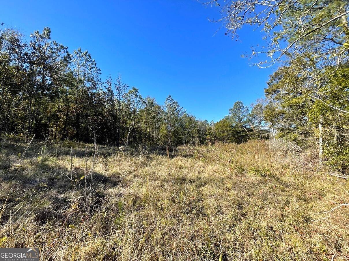 Elberton, GA 30635,LOT 36 Russell Ridge Dr