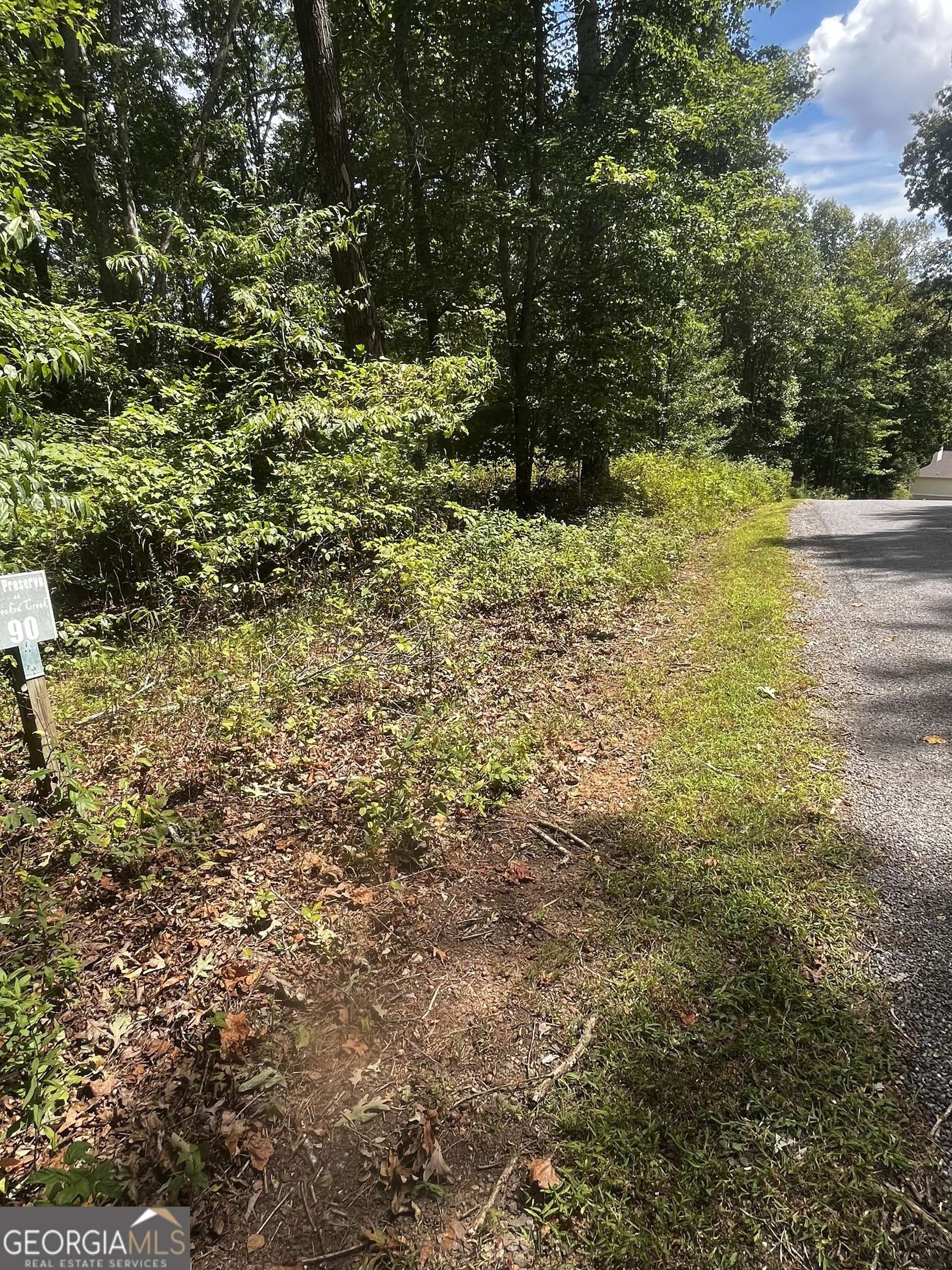 Young Harris, GA 30582,LOT 90 The Preserve at Crooked Creek