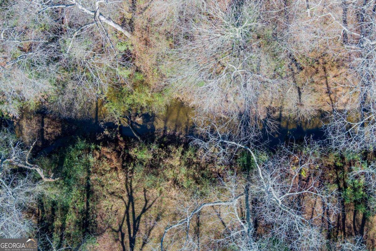 Mccaysville, GA 30555,0 Pine Grove DR