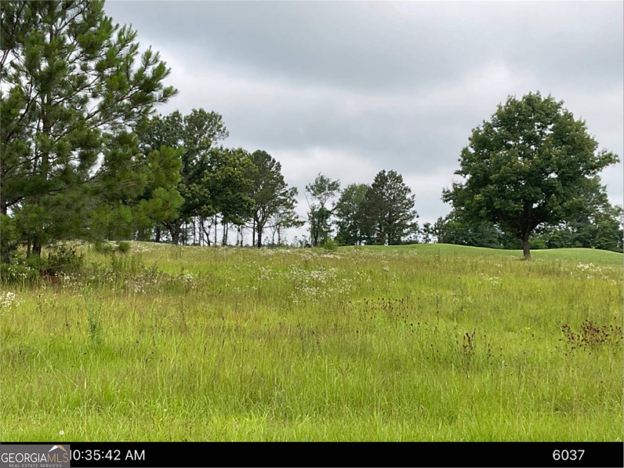 Hawkinsville, GA 31036,0 Camden WAY #LOT 19