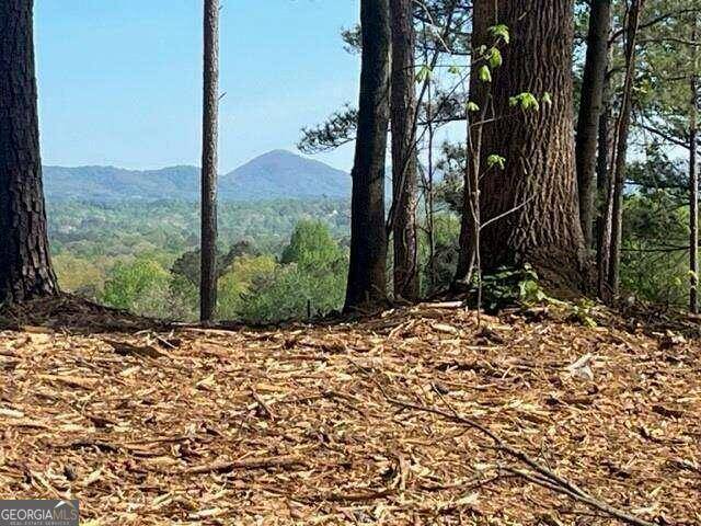 Talking Rock, GA 30175,007 Swan Bridge RD