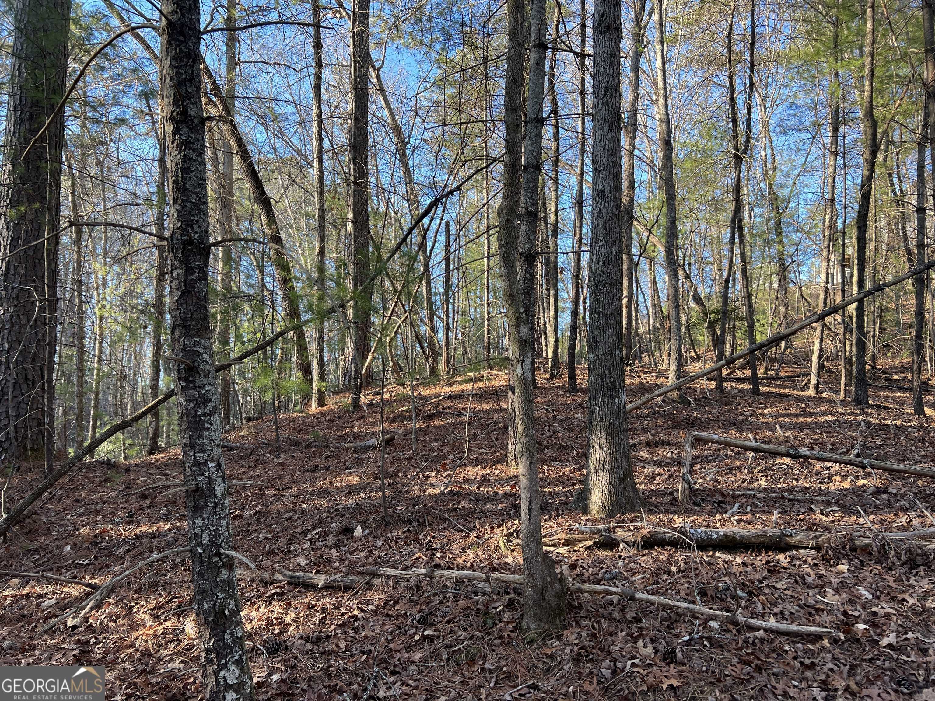 Ellijay, GA 30540,0 Hale CT #3380R