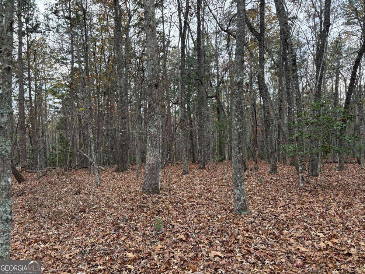 Morganton, GA 30560,3.5AC Liberty Hill