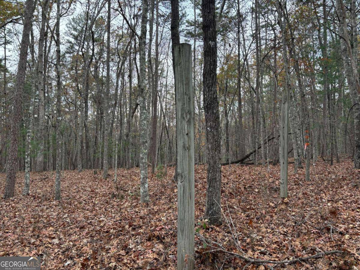 Morganton, GA 30560,3.5AC Liberty Hill