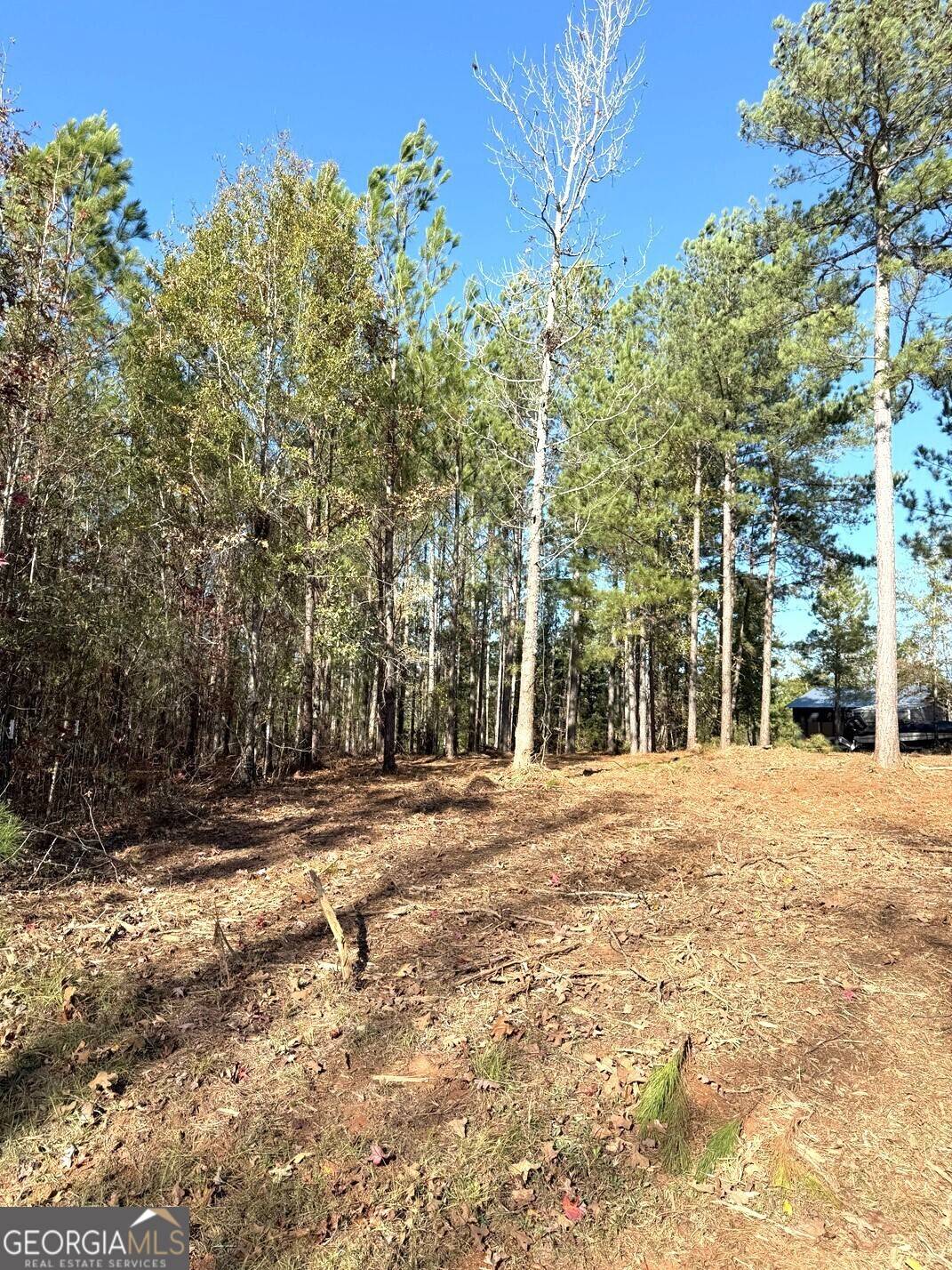 Elberton, GA 30635,LOT 34 Russell Ridge Court