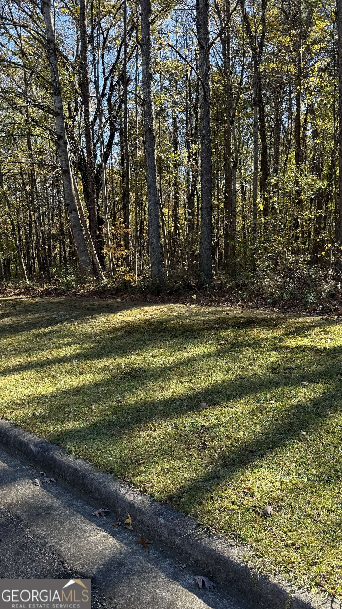 Ellenwood, GA 30294,LOT 15 OF Fairview Springs