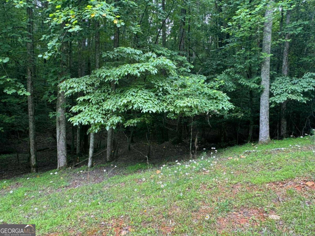 Ellijay, GA 30540,LOT 1721 Newport