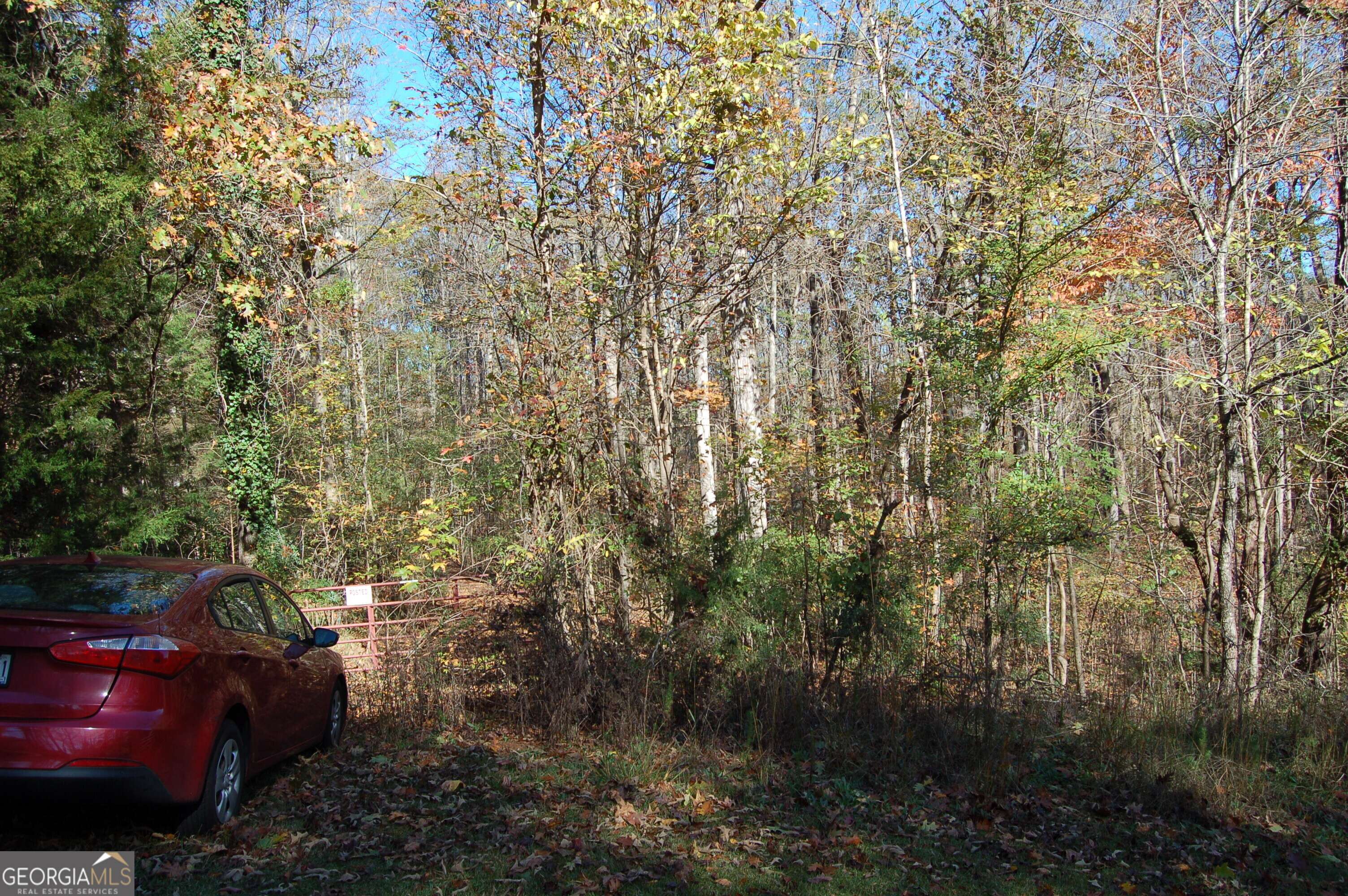 Mcdonough, GA 30252,0 Mountain Laurel