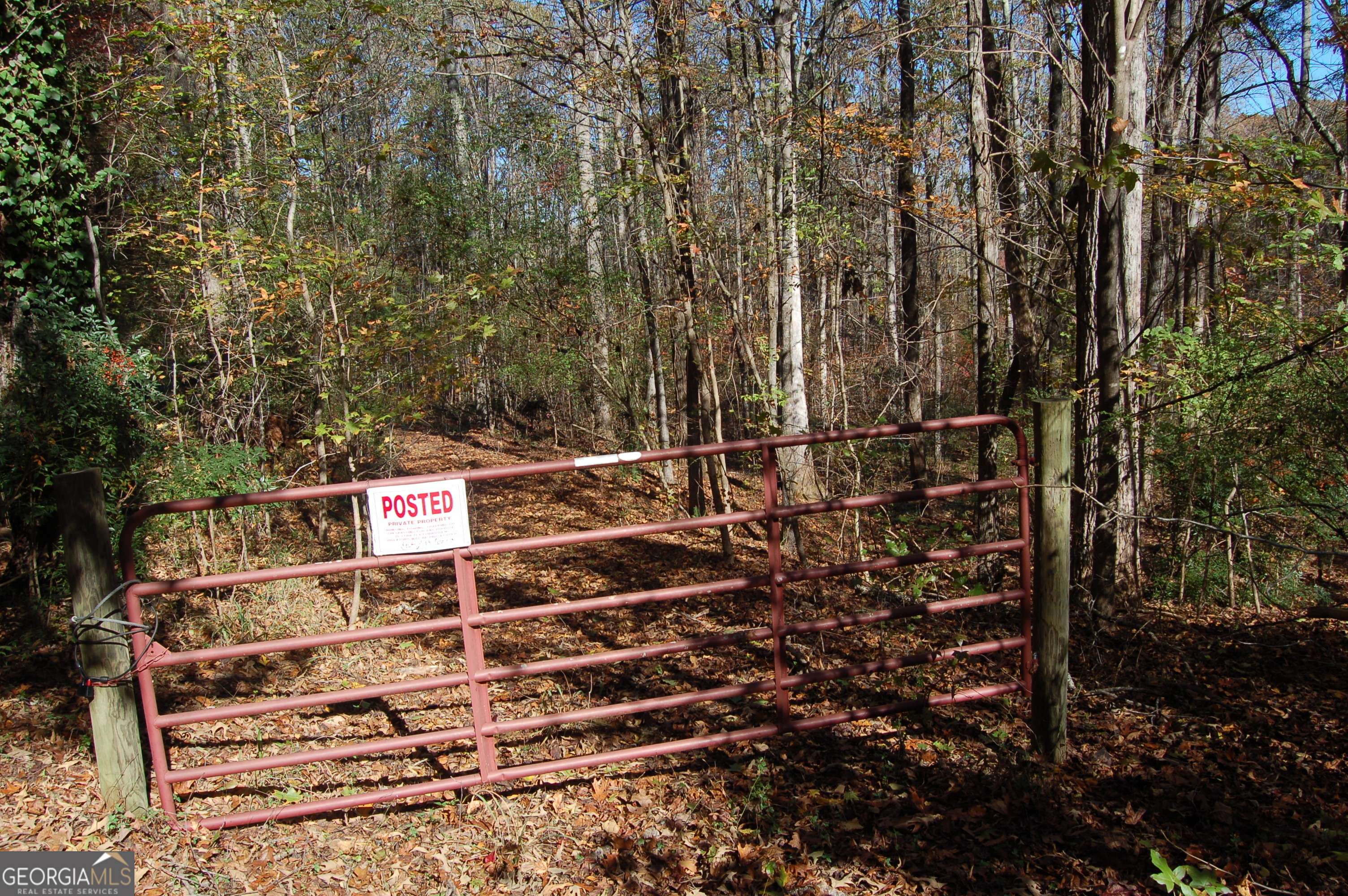 Mcdonough, GA 30252,0 Mountain Laurel