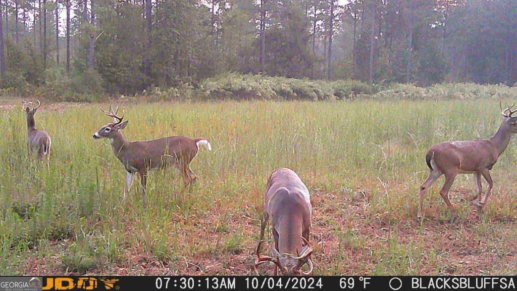Silver Creek, GA 30173,0 Harmony RD