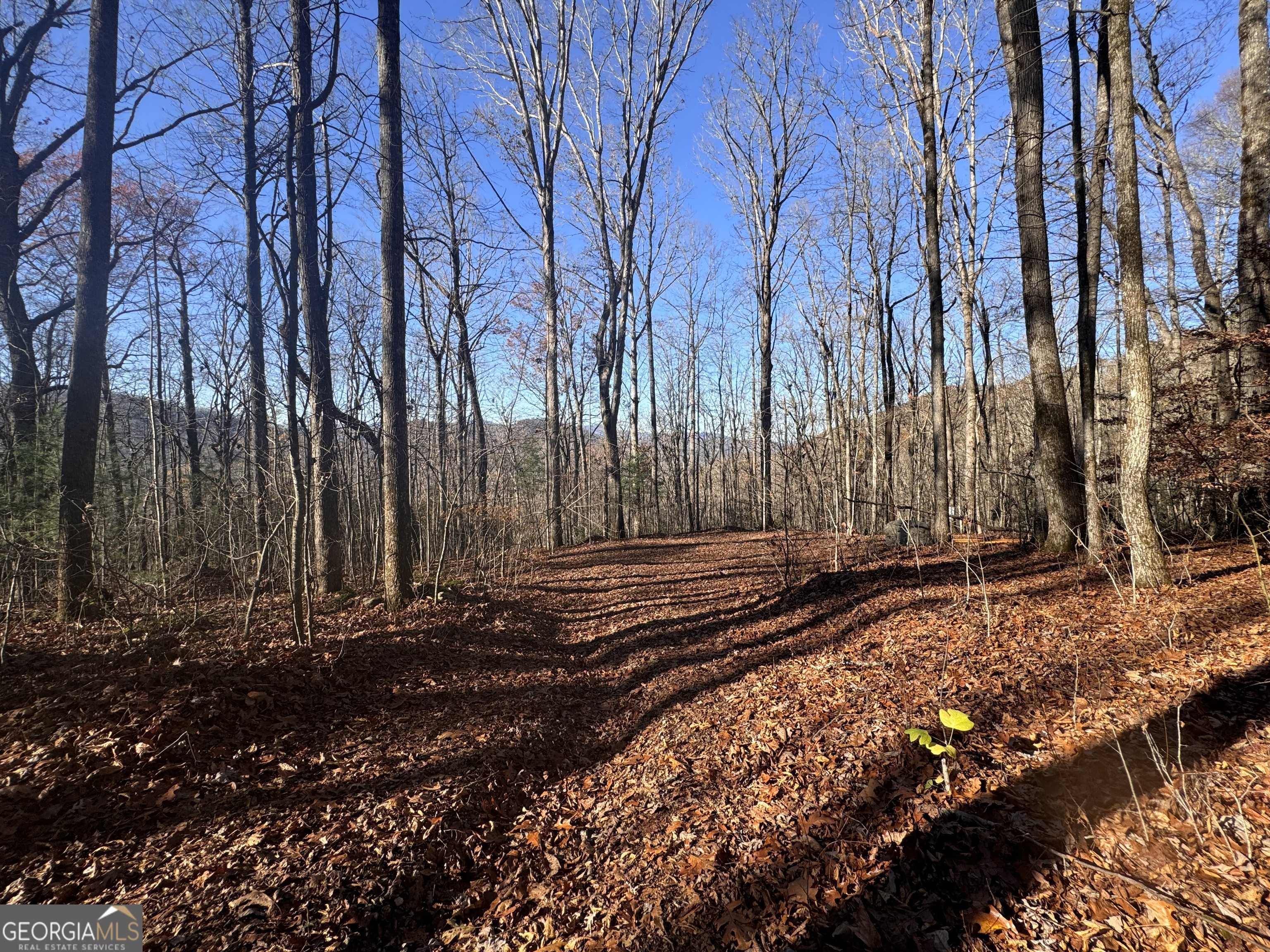 Clayton, GA 30525,LOTS 13 & 14 Black Bear Den RD