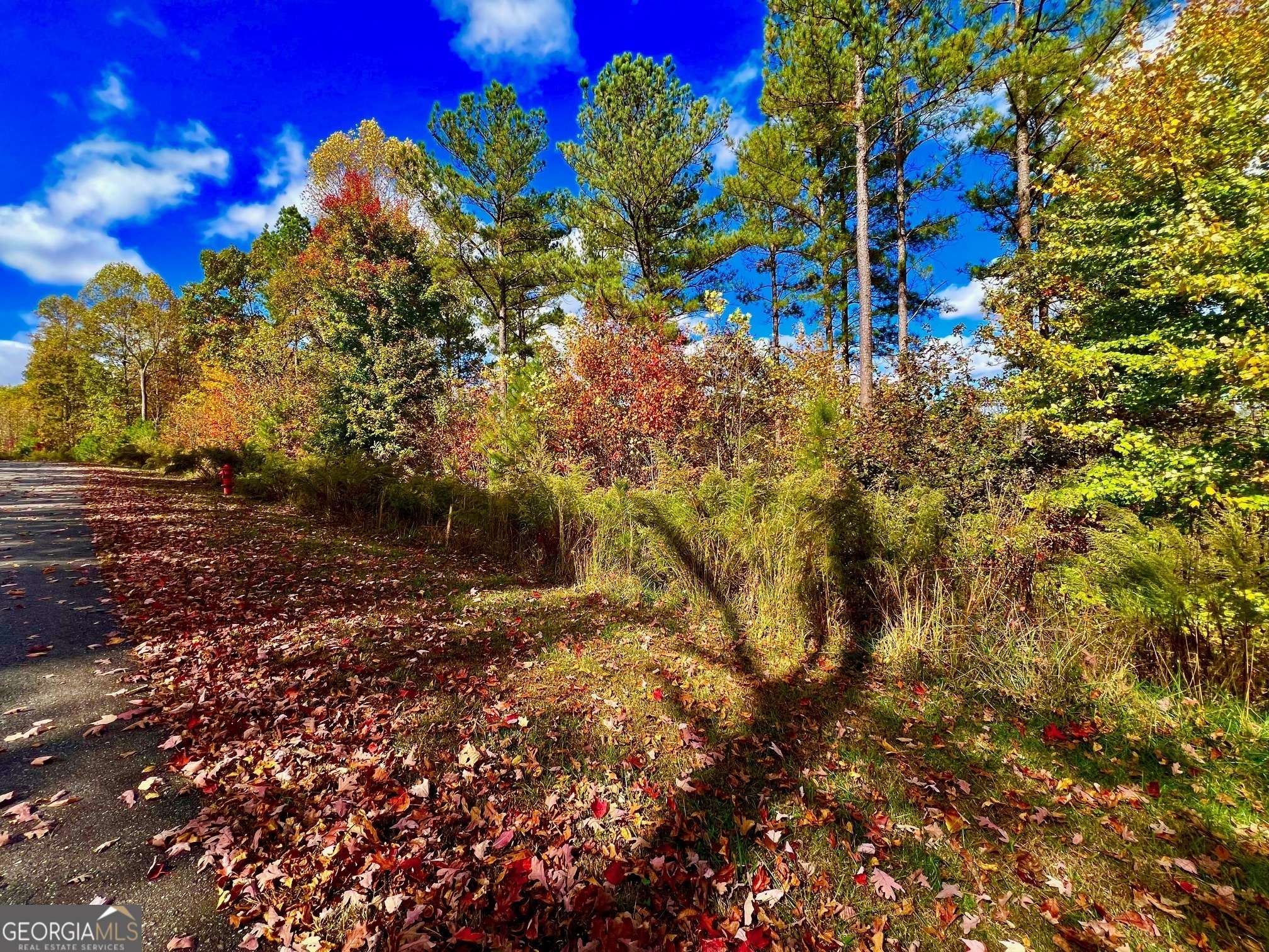 Blairsville, GA 30512,59 Ridge Peak VW