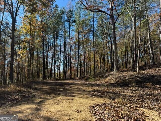 Menlo, GA 30731,122 Ami Cemetery