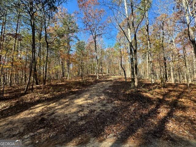 Menlo, GA 30731,122 Ami Cemetery