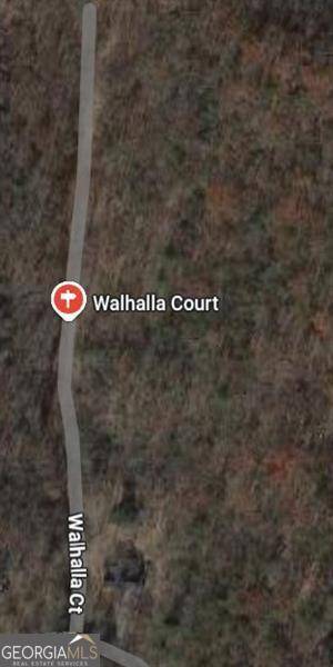 Ellijay, GA 30540,0 Lot 393 Walhalla CT