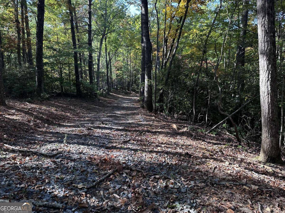 Ellijay, GA 30536,TRACT 3 Turniptown RD