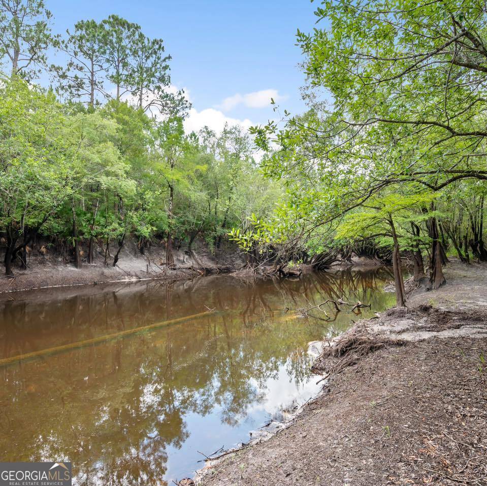 Hortense, GA 31543,0 Roberson RD
