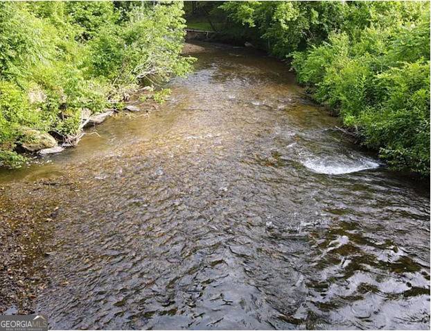 Blairsville, GA 30512,1 Rachel RD