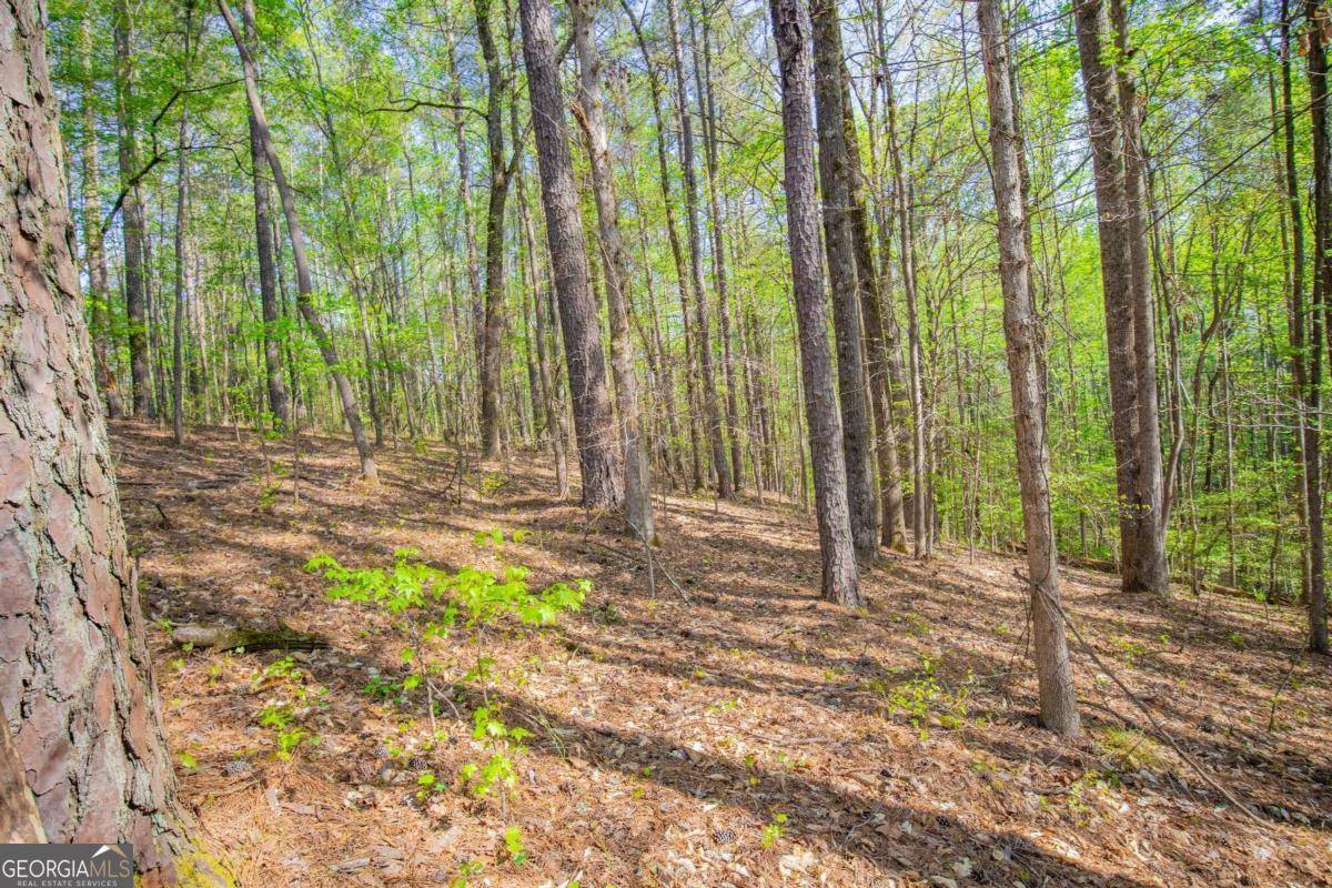 Fairburn, GA 30213,0 Lake Esther DR #1
