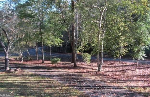 Mineral Bluff, GA 30559,41 Little Falls