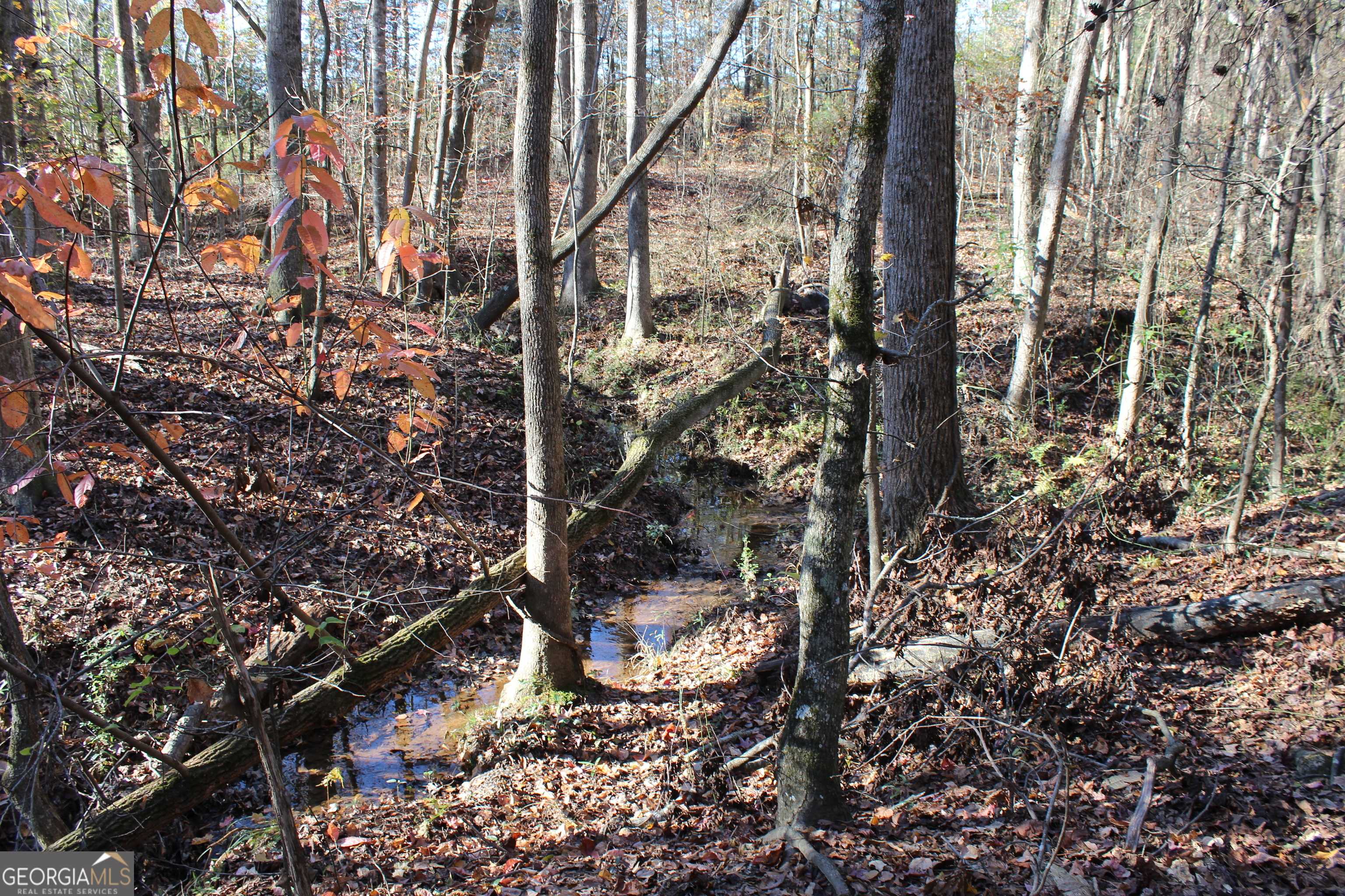 Hartwell, GA 30643,0 B Bailey RD
