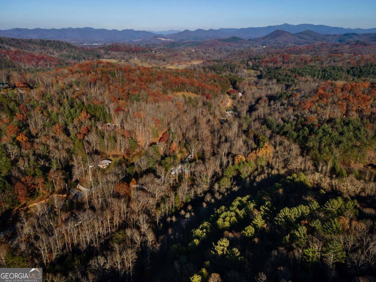 Blairsville, GA 30512,17 ACRES Mulky Branch