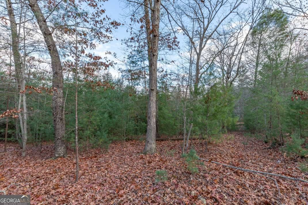 Blairsville, GA 30512,LOT 8 B & W Ranch Rd Lot 8