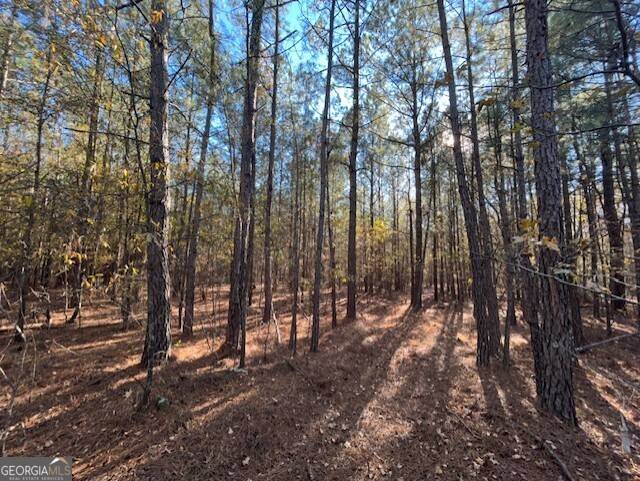 Warrenton, GA 30828,0 Wilson RD
