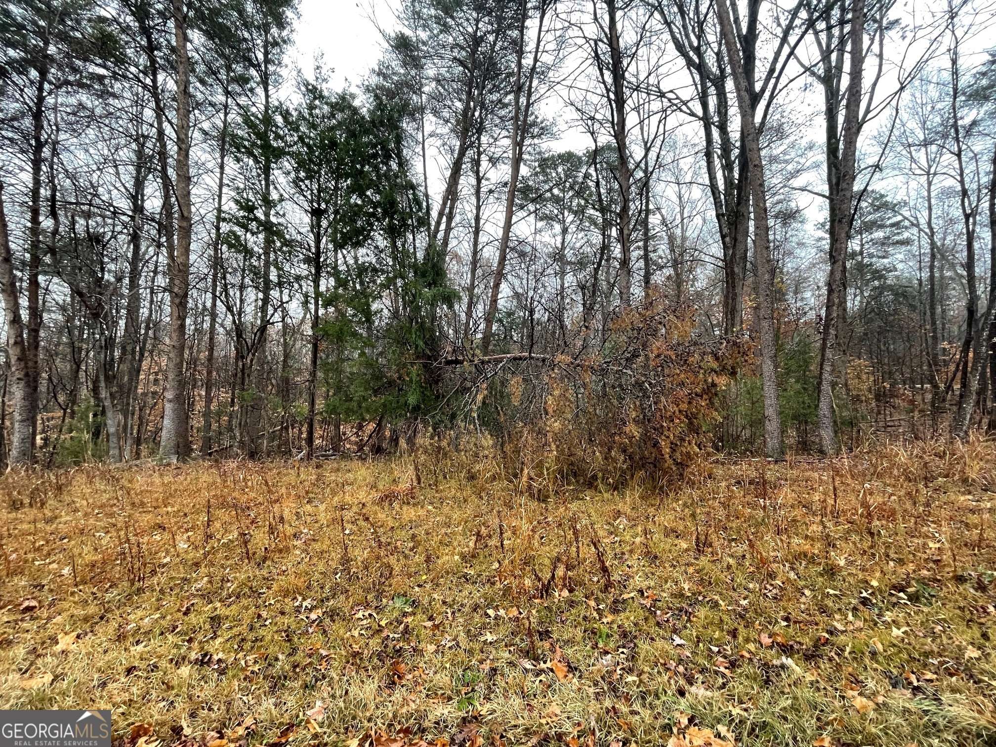 Westminster, SC 29693,0 Nicklaus Drive Lot 851