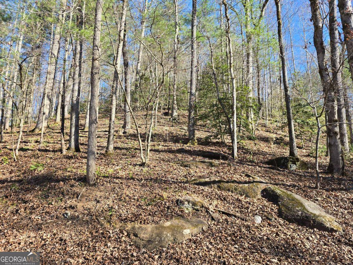 Hiawassee, GA 30546,LOT 67 Hi Ridge