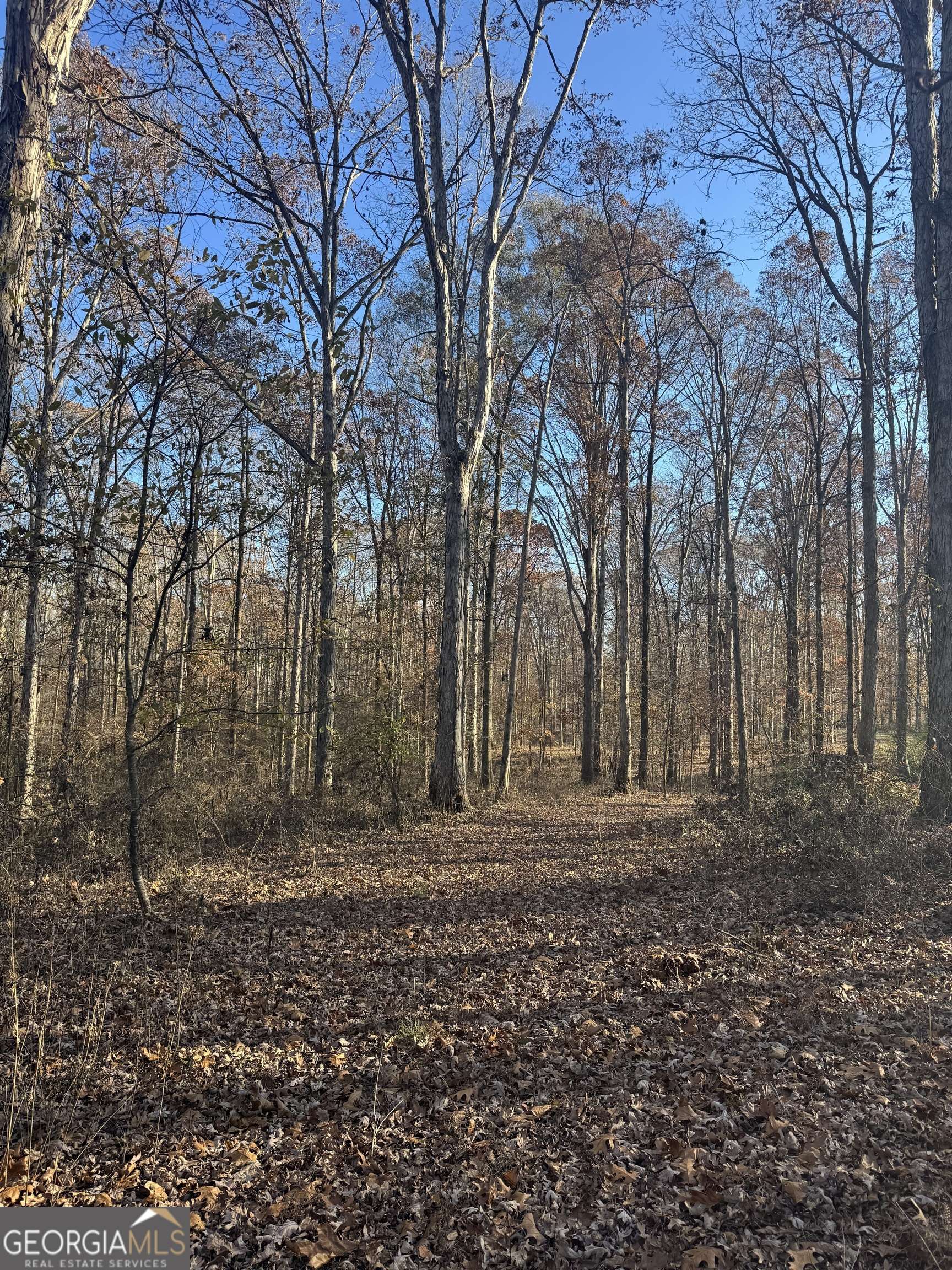 Statham, GA 30666,2671 Oakley TRL