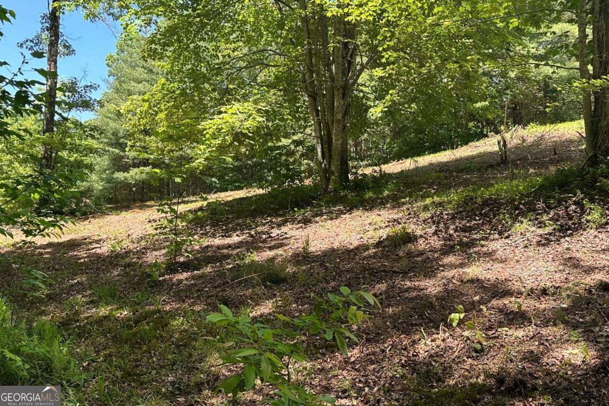 Hayesville, NC 28904,LOT 8 Moore Acres