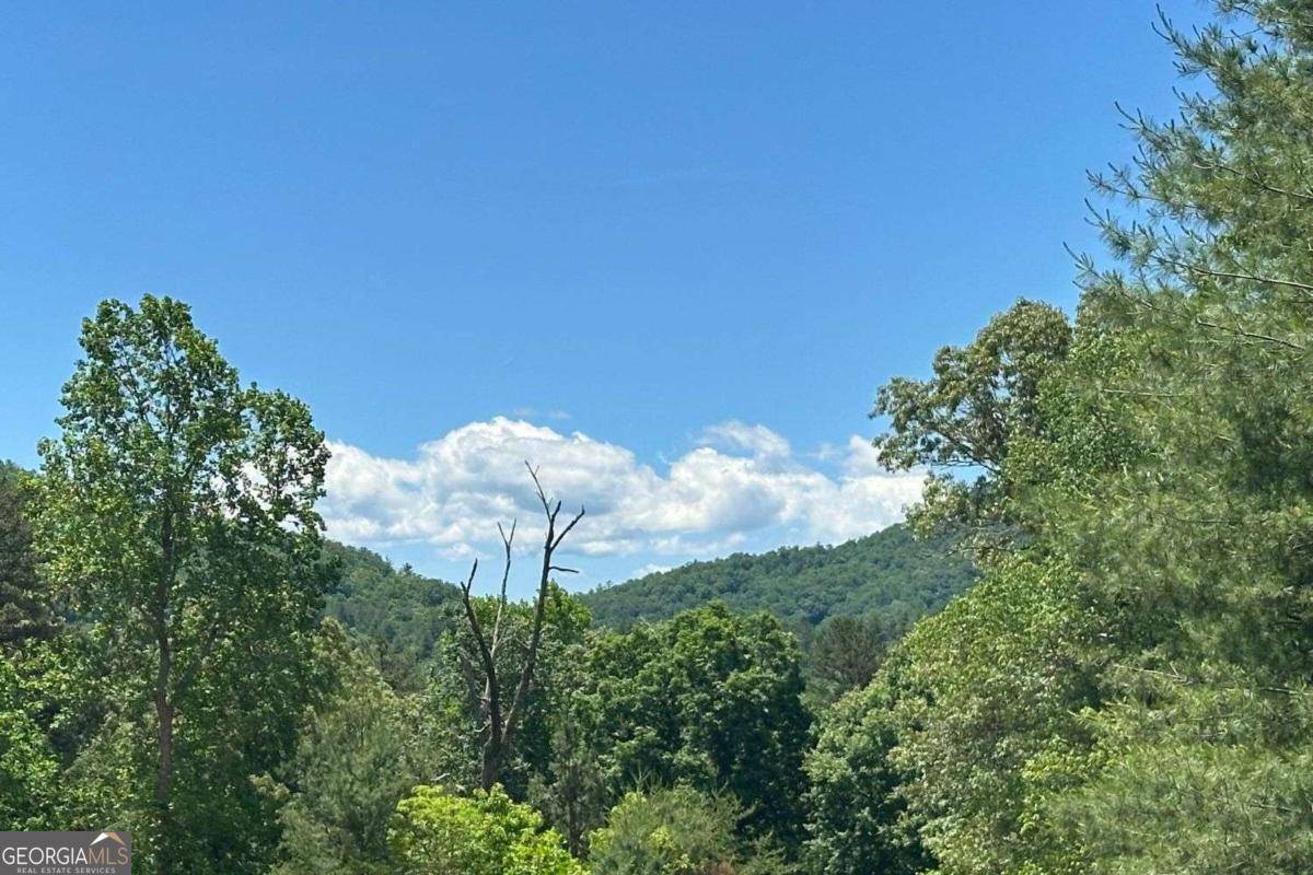 Hayesville, NC 28904,LOT 8 Moore Acres