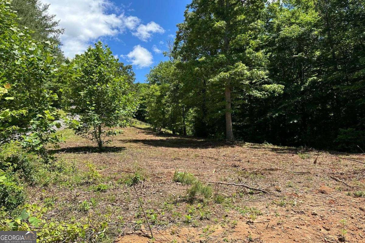 Hayesville, NC 28904,LOT 8 Moore Acres