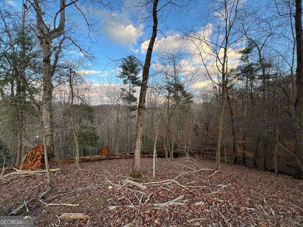 Ellijay, GA 30540,LOT 402 Crown