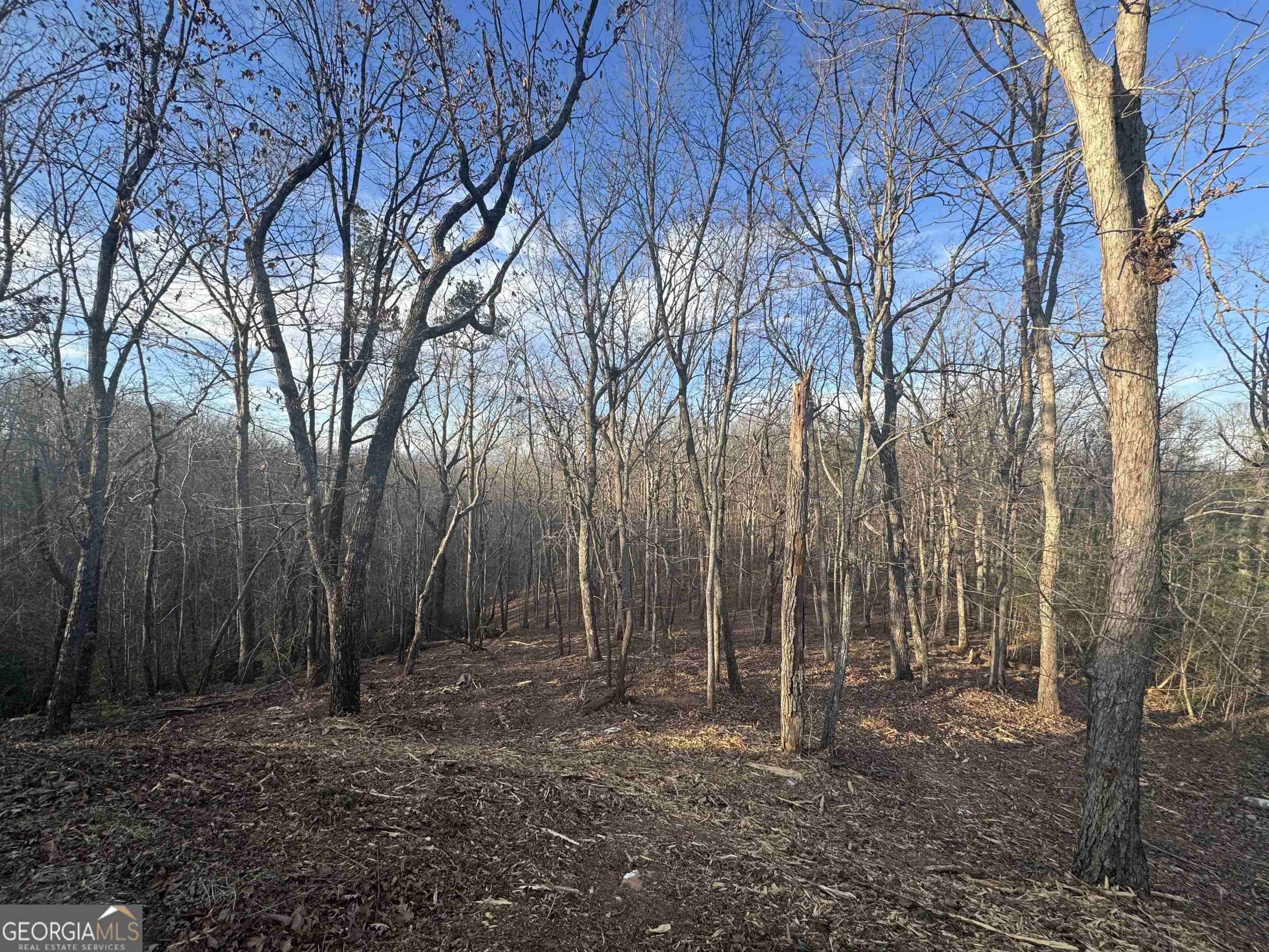 Cleveland, GA 30528,LOT 57 Teel Mtn