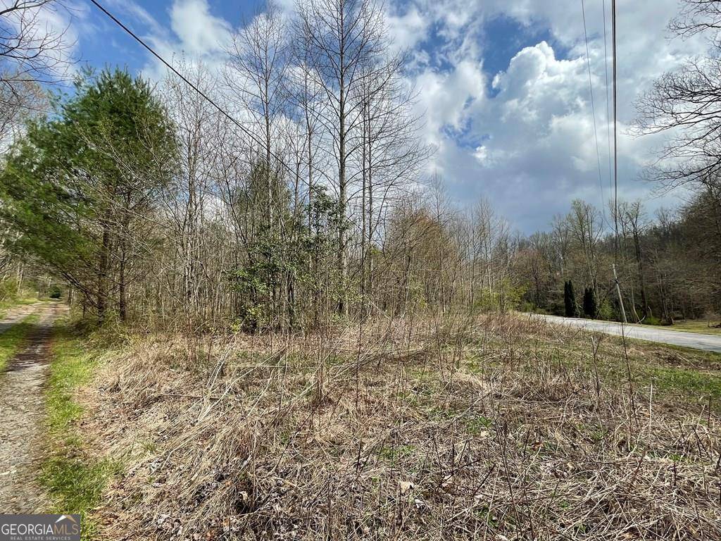 Hayesville, NC 28904,12.1 ACRES Laurel Branch Road