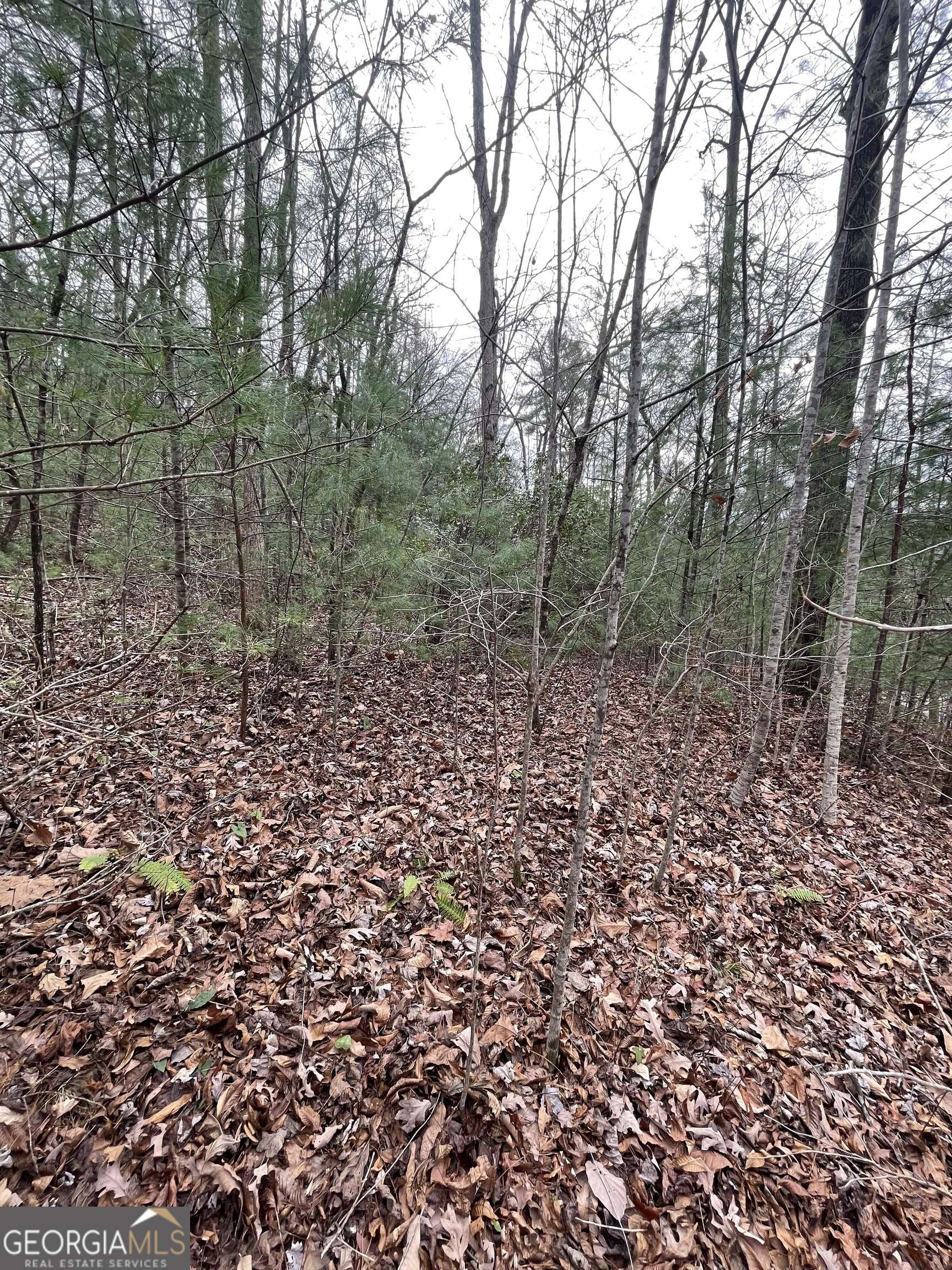 Clayton, GA 30525,700 Kingwood DR