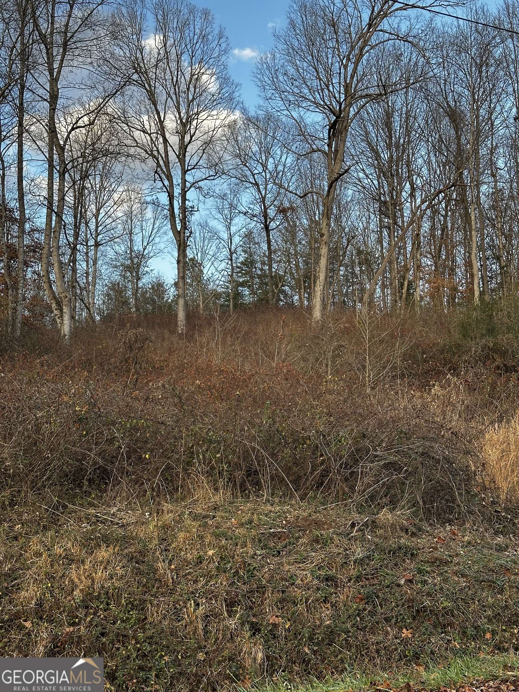 Cleveland, GA 30528,0 Jess Hunt Road